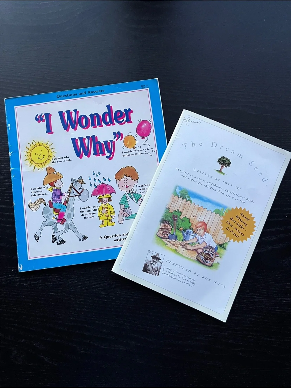 2 Vintage Children Books - I Wonder Why / Blue Children's Question & Answer Book